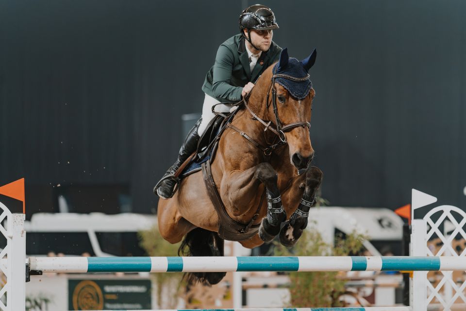 Anubis van de Vossestaart Z - Jean-Christophe de Grande - &copy;Zahra De Meyer Photography