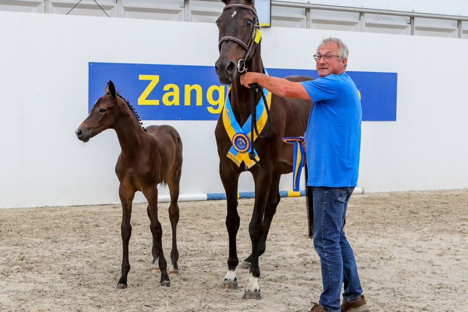 My Bonnie Van Orti Z My Bonnie Van Orti Z