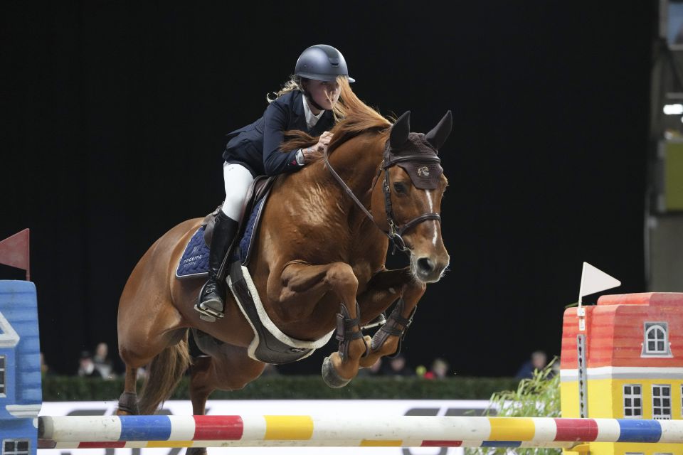 Copacabana of the Paddocks Z - Robin Vermeir - ©Sportfot Copacabana of the Paddocks Z - Robin Vermeir - ©Sportfot