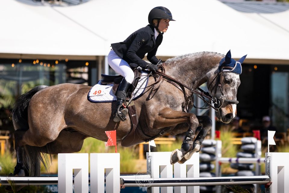 Conrado 12 - Ali Ramsey - ©Desert International Horse Park Conrado 12 - Ali Ramsey - ©Desert International Horse Park
