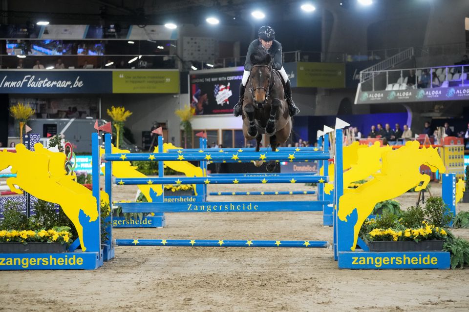 Donatello d&rsquo;Auge - Julien Epaillard - &copy;Sportfot 'The Zangersheide International'