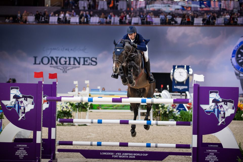 Otello De Guldenboom - Daniel Deusser - &copy;FEI - Shannon Brinkman