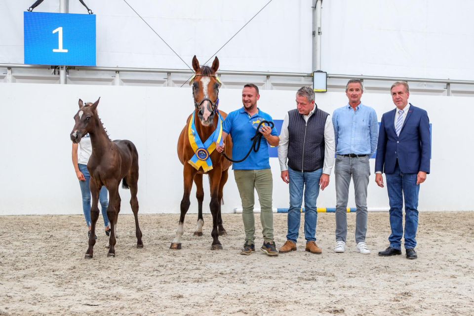 Trésor Keijtershof Z Trésor Keijtershof Z