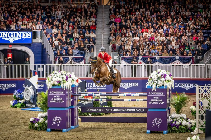 Electrique van het Cauterhof Z - Tiffany Foster - ©FEI Electrique van het Cauterhof Z - Tiffany Foster - ©FEI