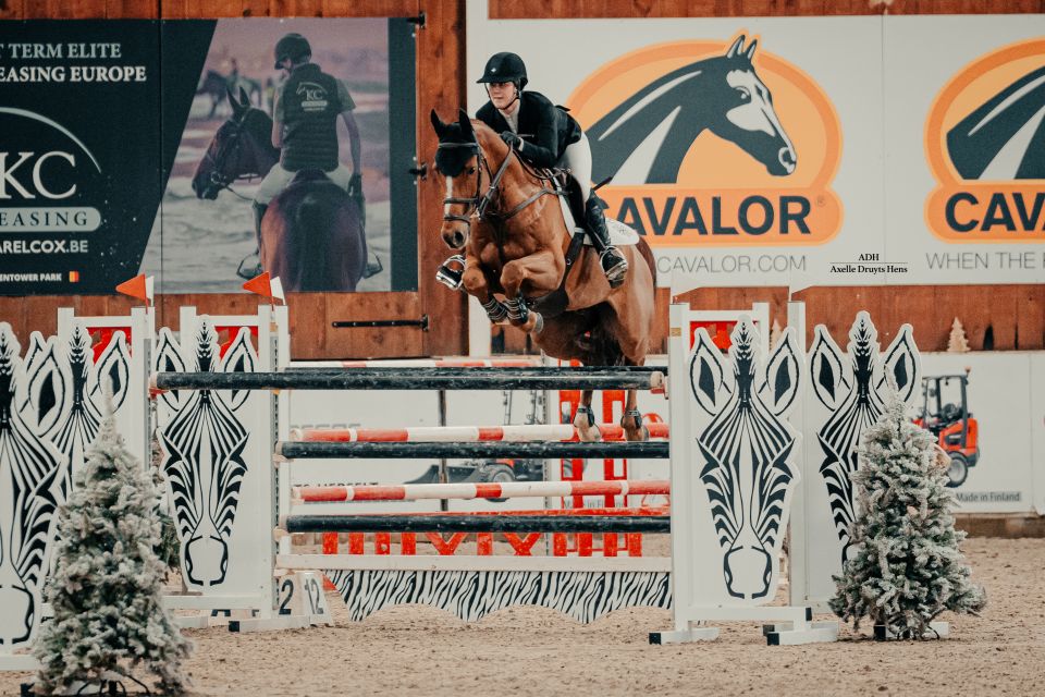 Pesgo Adelheid Z - Lily Elliot - ©Axelle Druyts Hens Pesgo Adelheid Z - Lily Elliot - ©Axelle Druyts Hens