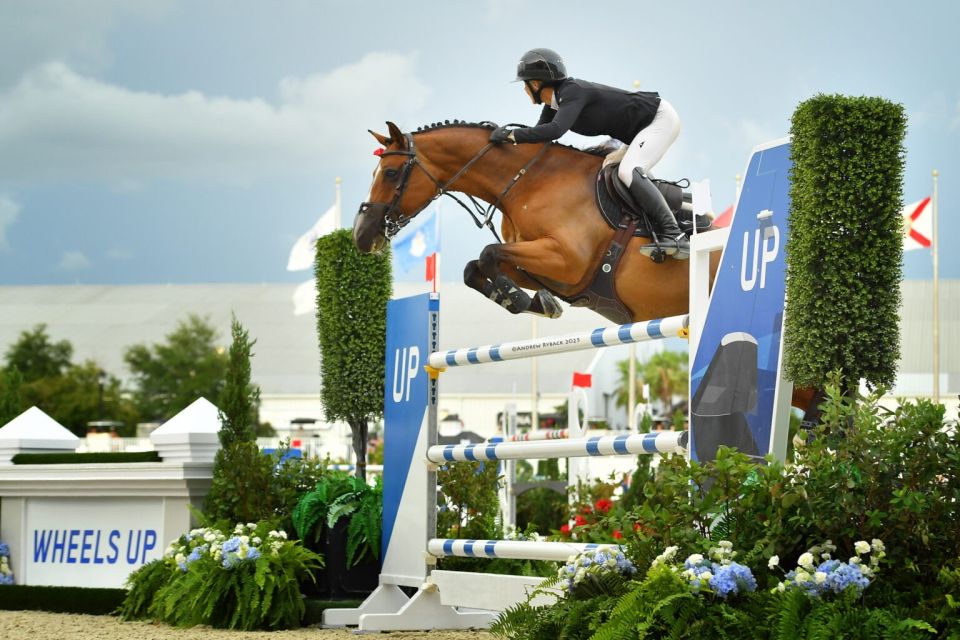 Verdini d'Houtveld Z - Lauren Balcomb - @Andrew Ryback Photography Ocala (1) Verdini d'Houtveld Z - Lauren Balcomb - @Andrew Ryback Photography Ocala (1)