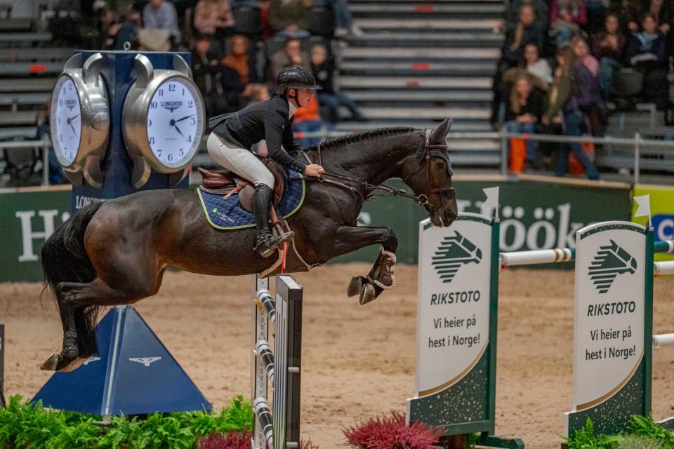 Cupcake Z - Sanne Thijssen - ©FEI (2)