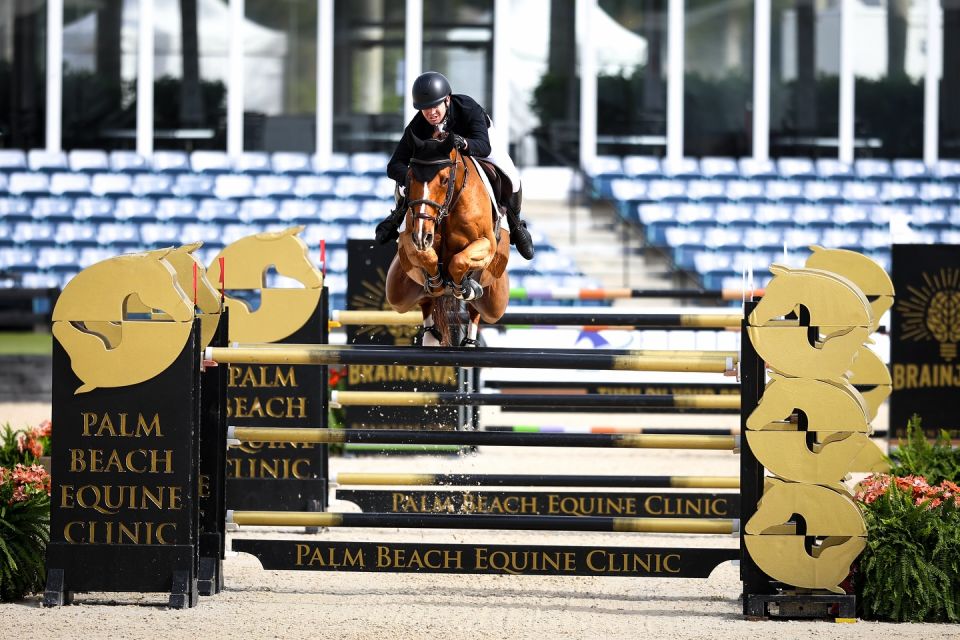 Coriaan Van Klapscheut Z - Shane Sweetnam - @Wellington International Cassidy Klein
