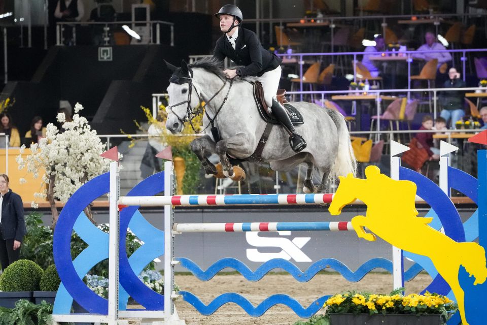 Crazy Music Royal Z - Steven Vermeir - Hoekstra - &copy;Sportfot 'The Zangersheide International' (3)