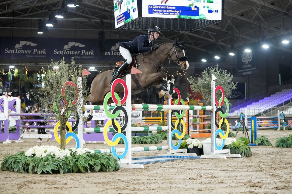 Contreau van de Wareslage Z - Gilles van Hamme - &copy;Sportfot 'The Zangersheide International'