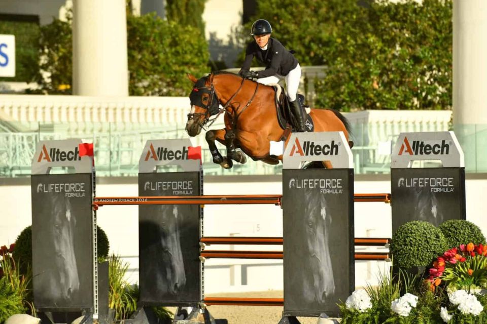 Verdini d'Houtveld Z - Lauren Balcomb - &copy;Andrew Ryback Photography Ocala (2)