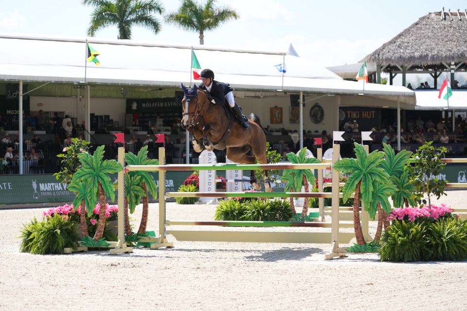 Beau de Laubry Z - Julien Anquetin - &copy;Sportfot