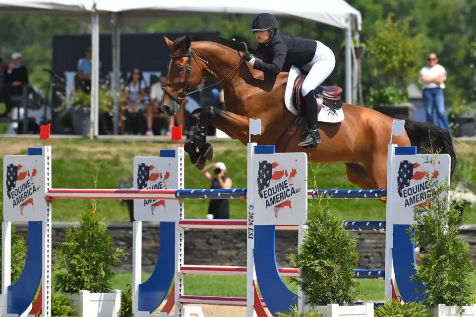 Da Vinci DV Z - Megan-McDermott - &copy;Hits Horse Shows - ESI Photography