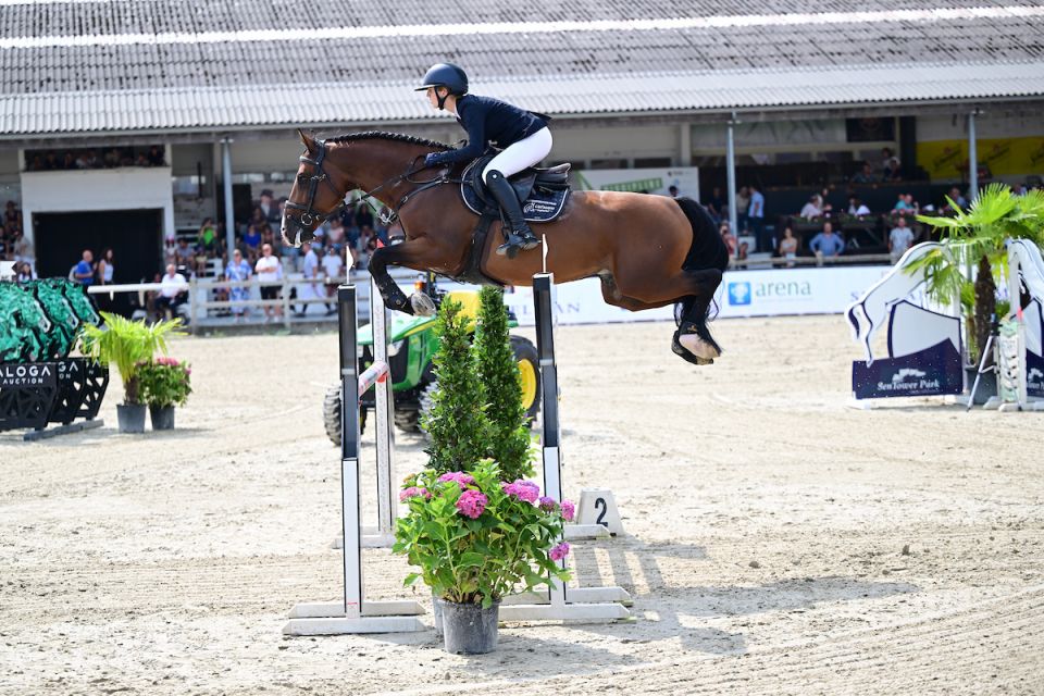 Contigo van het Legitahof Z - Aurelia Guisson - &copy;Paardenfotograaf