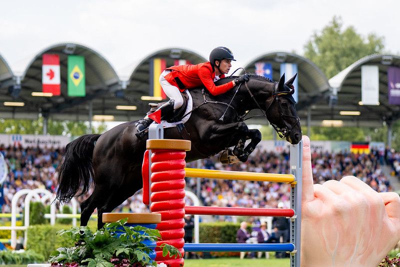 Impress-K van 't Kattenheye Z - Thibeau Spits - &copy;FEI Aachen 2026 (2)