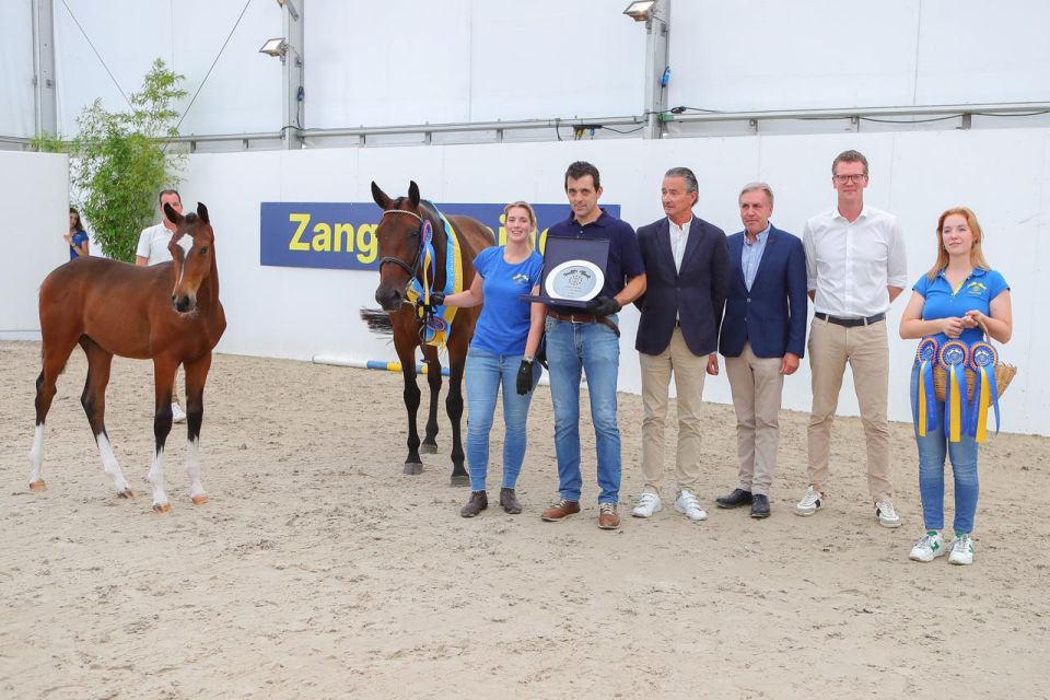 Camore Z (Casall ASK x Emerald van 't Ruytershof) Camore Z (Casall ASK x Emerald van 't Ruytershof)