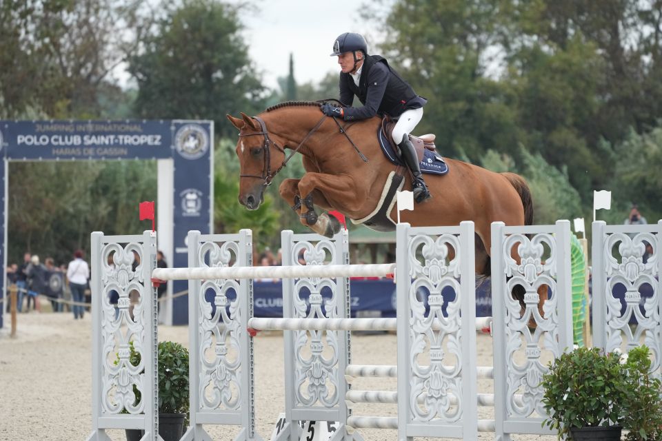 Calasto Z - Michel Robert - ©Le Pin au Haras (1) Calasto Z - Michel Robert - ©Le Pin au Haras (1)