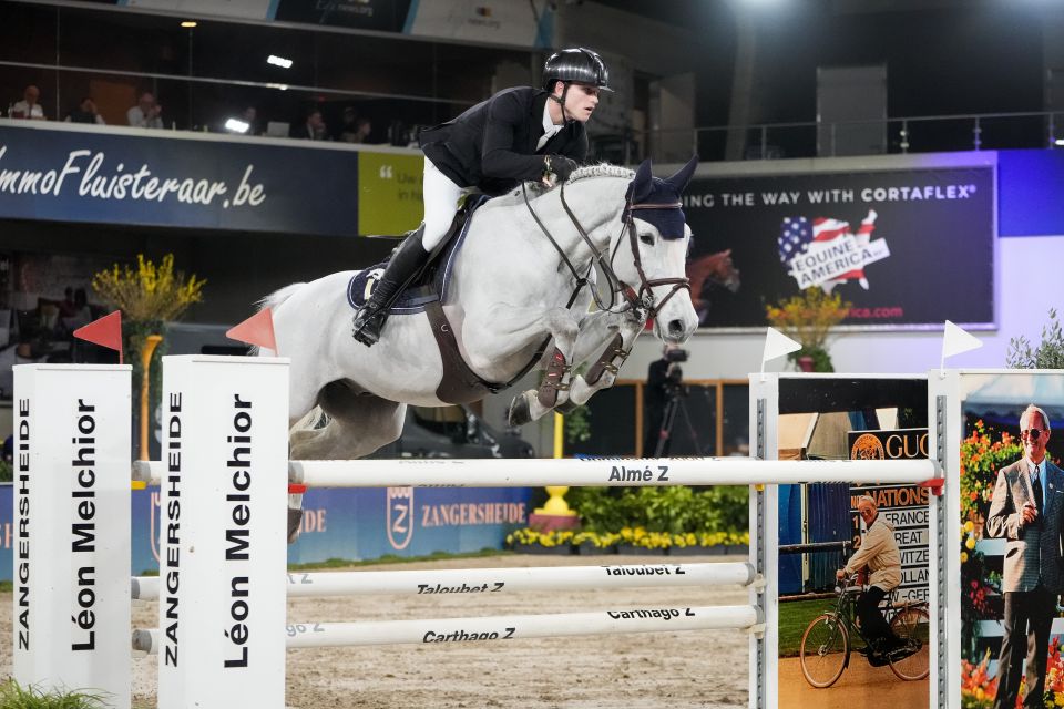 Quasca Artist Vd Guldennagel &ndash; V - Tim Prouv&eacute; - &copy;Sportfot 'The Zangersheide International'