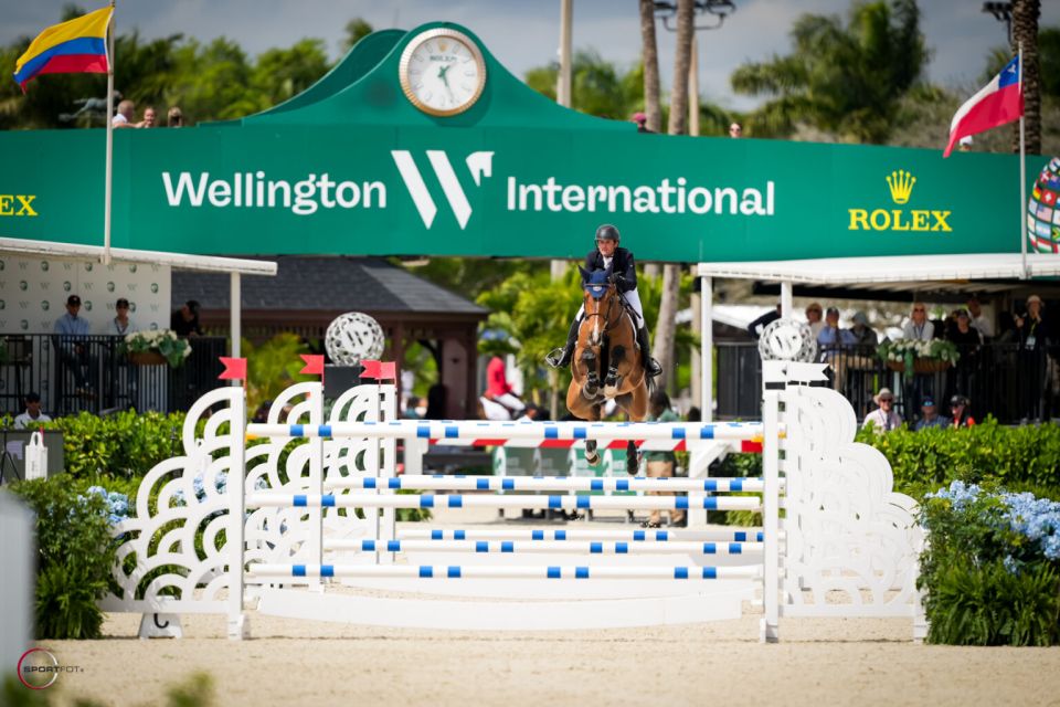 Colibelle Hero Z - Darragh Kenny - &copy;Sportfot WEF 8