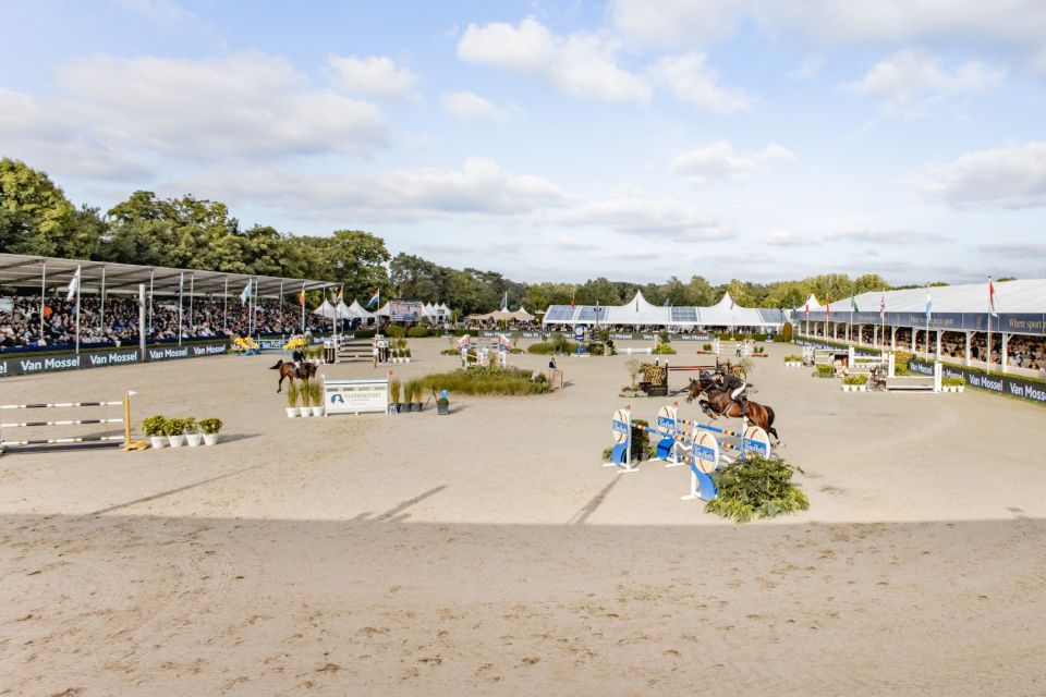 ZangersheideFEIWBFSH2025(283) (Groot)