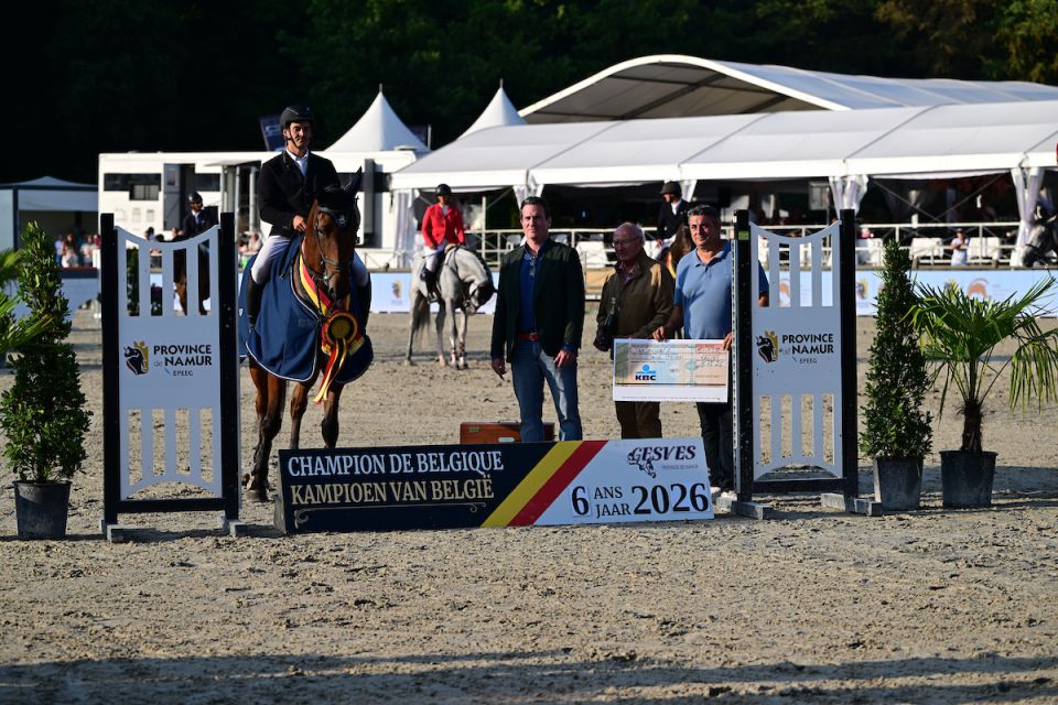 Thor Davidshof Z - Nick Bossaerts - &copy;Paardenfotograaf