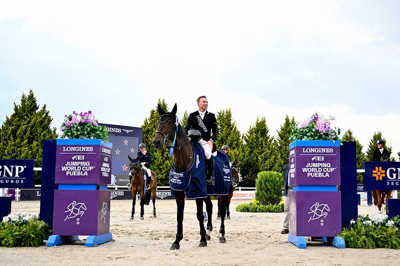 Brin d&rsquo;Or de Haute Melen Z - Sharn Wordley - &copy;FEI - Rodrigo Cece&ntilde;a (2)