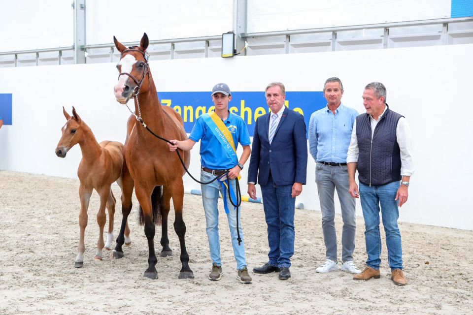 Thalimo TS Z Thalimo TS Z