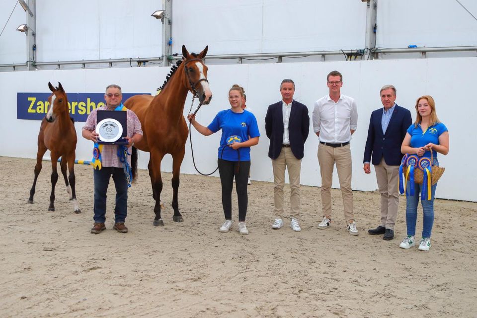 Dora de Poteau Z (Dourkhan Hero Z x Halifax van het Kluizebos) Dora de Poteau Z (Dourkhan Hero Z x Halifax van het Kluizebos)