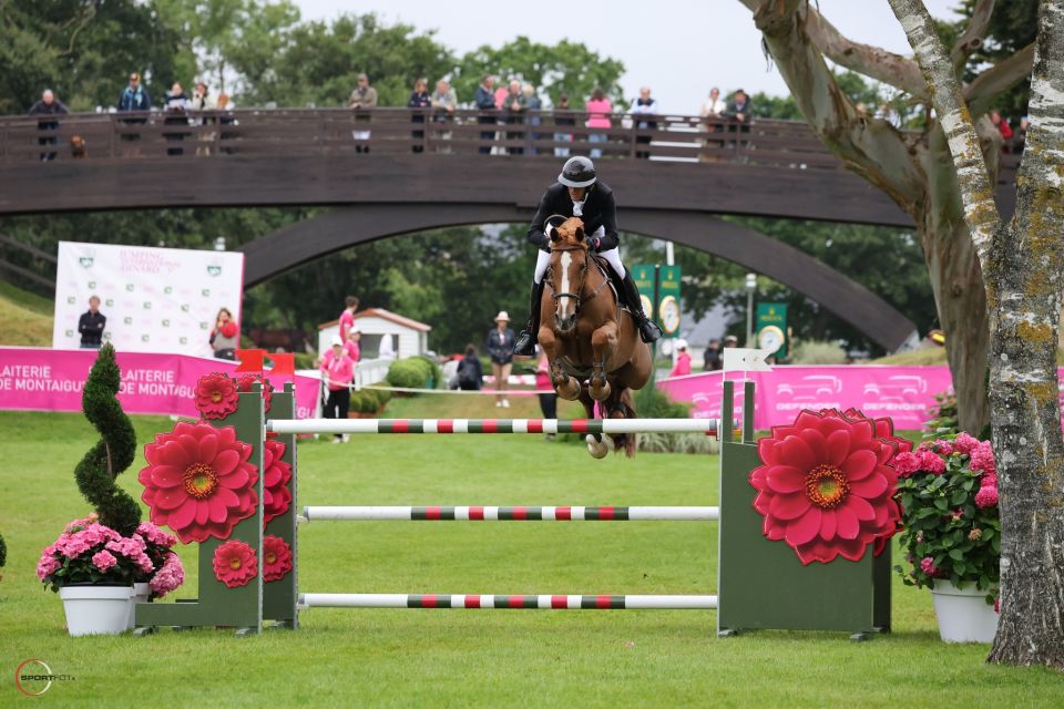 Vida Loca Z - Kevin Staut - ©Jumping International Dinard Vida Loca Z - Kevin Staut - ©Jumping International Dinard