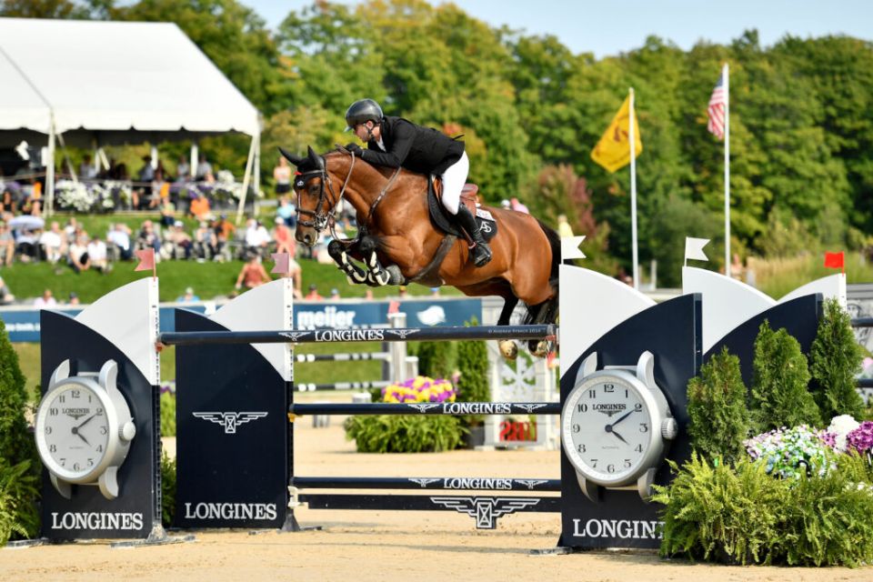Melusina BVL Z - Samuel Hutton - ©Traverse City Horse Shows Melusina BVL Z - Samuel Hutton - ©Traverse City Horse Shows