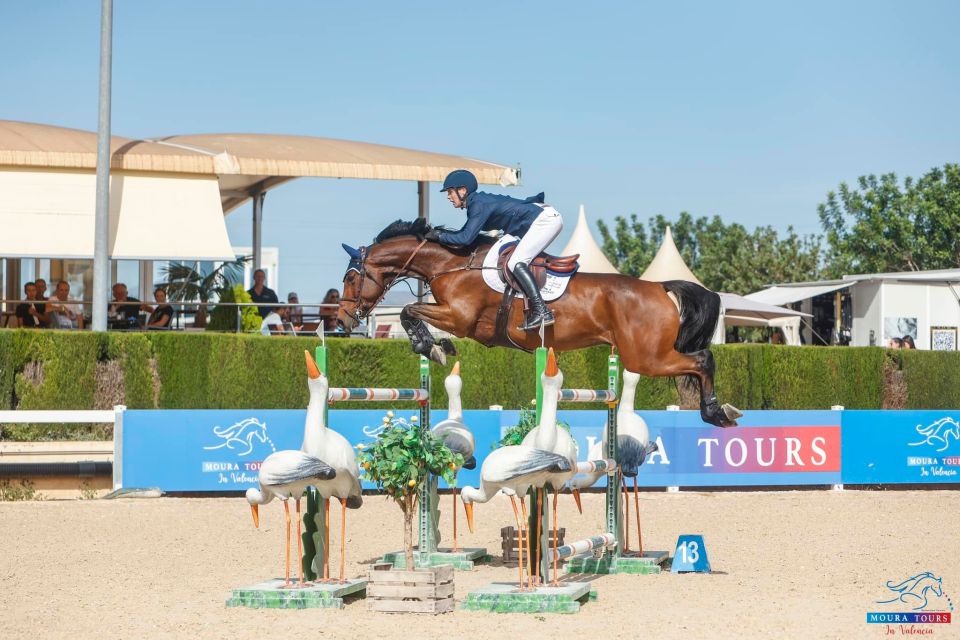 Tabasco de Toxandria Z - Tom Wachman - ©Moura Tours Valencia Tabasco de Toxandria Z - Tom Wachman - ©Moura Tours Valencia