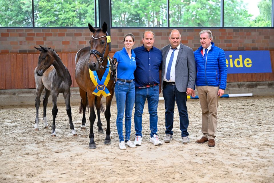 Zangersheide Foal Championship Germany_Winner (Groot) Zangersheide Foal Championship Germany_Winner (Groot)