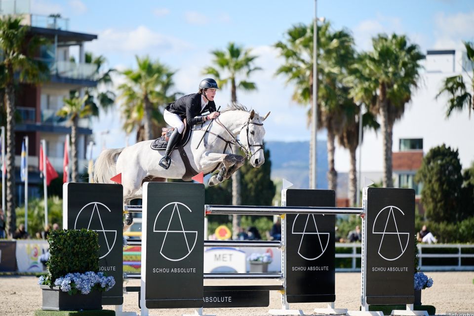 Vamos de La Pomme d'Or Z - Bart Jay Junior Vandecasteele - ©Hervé Bonnaud Vamos de La Pomme d'Or Z - Bart Jay Junior Vandecasteele - ©Hervé Bonnaud