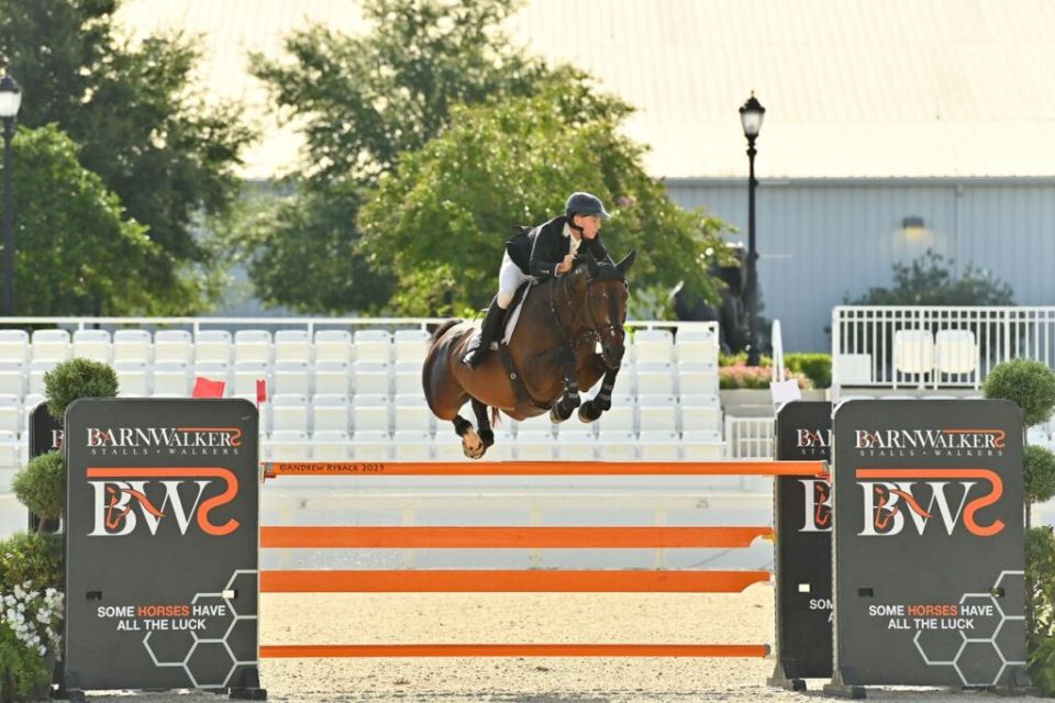 Brin d’Or de Haute Melen Z - Sharn Wordley - @Andrew Ryback Photography Ocala Brin d’Or de Haute Melen Z - Sharn Wordley - @Andrew Ryback Photography Ocala