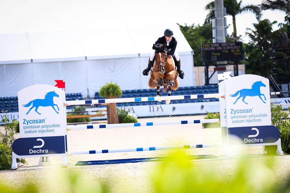 Coriaan van Klapscheut Z - Shane Sweetnam - ©Wellington International (2)