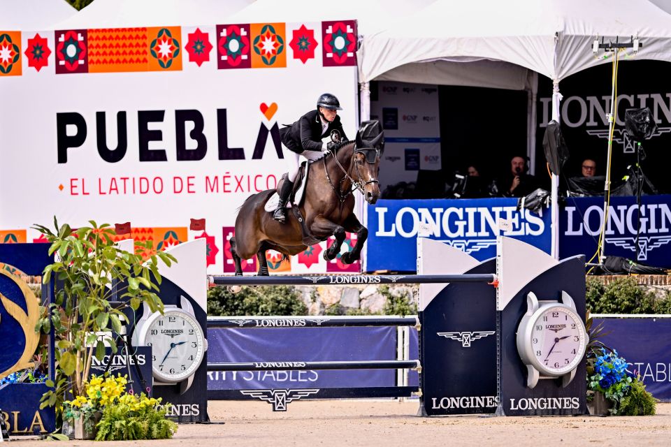 Brin d&rsquo;Or de Haute Melen Z - Sharn Wordley - &copy;FEI - Rodrigo Cece&ntilde;a