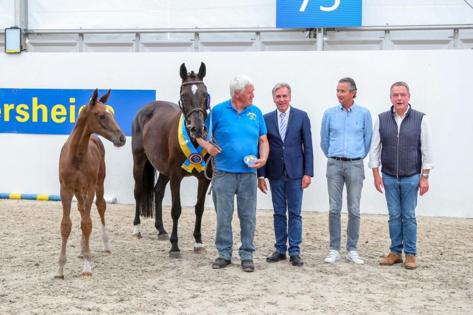 Crosby KCX Berghoeve Z Crosby KCX Berghoeve Z