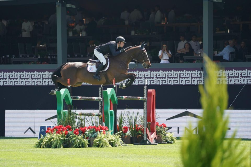 Dominant 2000 Z Dominant 2000 Z