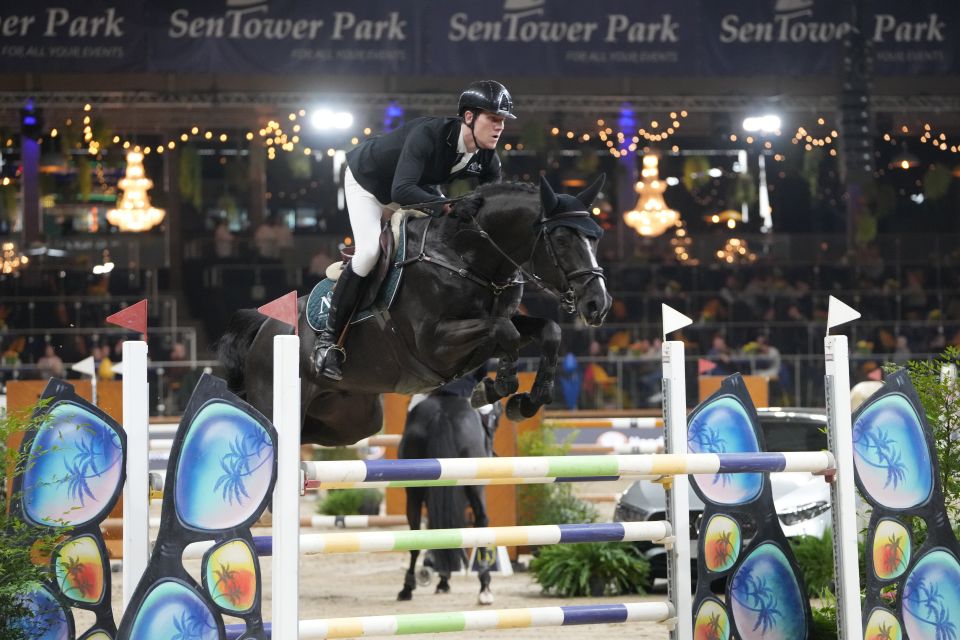 El Cid Z - Neal Vanderwegen - ©Sportfot (2) El Cid Z - Neal Vanderwegen - ©Sportfot (2)