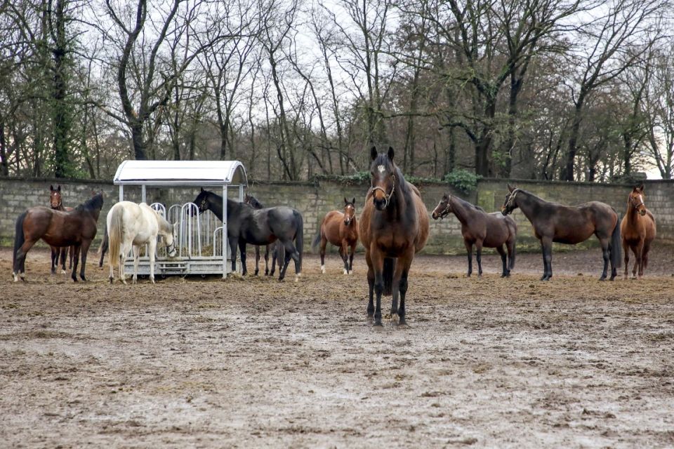nieuws-190712089abfa4-middel nieuws-190712089abfa4-middel