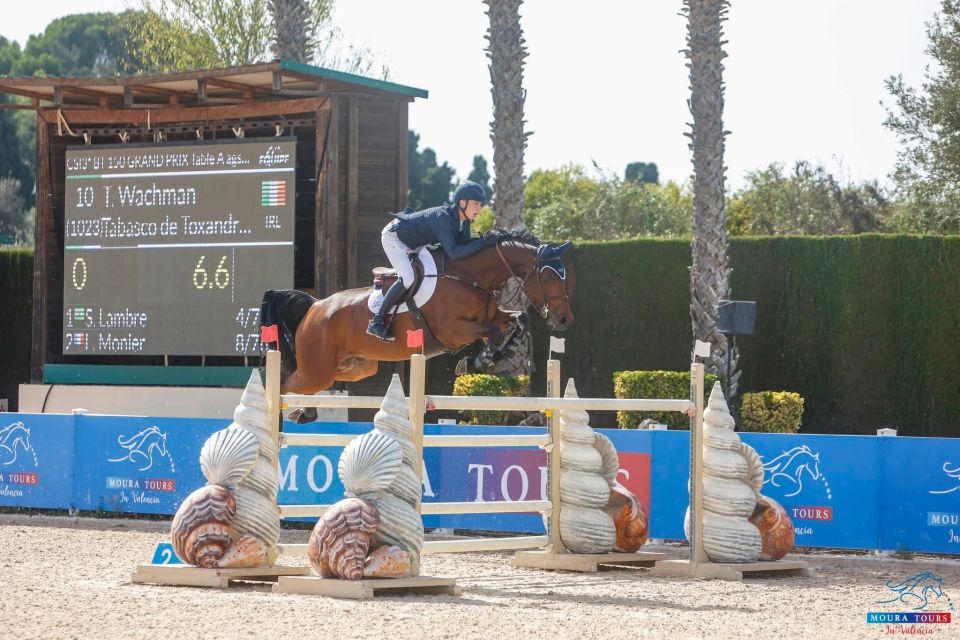 Tabasco de Toxandria Z - Tom Wachman - ©Moura Tours Valencia (2) Tabasco de Toxandria Z - Tom Wachman - ©Moura Tours Valencia (2)