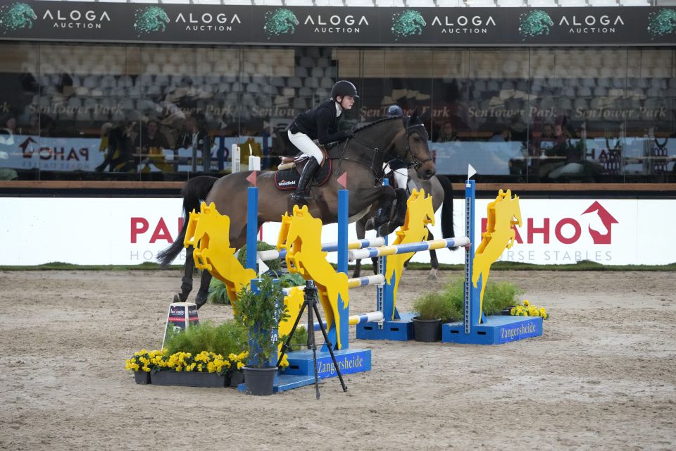 Willem Schaap - Quantas 15 - ©The Zangersheide International Willem Schaap - Quantas 15 - ©The Zangersheide International