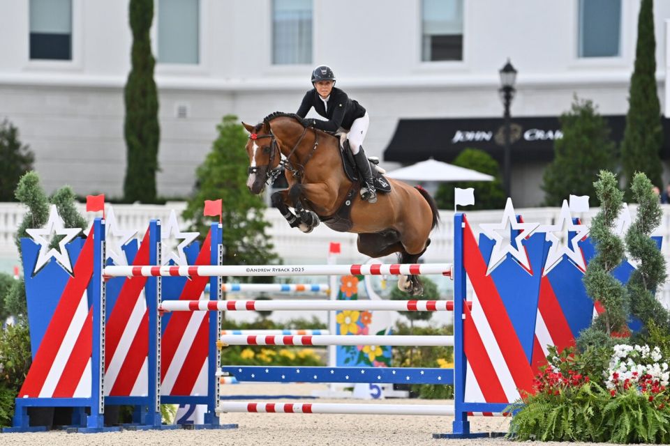 Verdini d'Houtveld Z - Lauren Balcomb - @Andrew Ryback Photography Ocala Verdini d'Houtveld Z - Lauren Balcomb - @Andrew Ryback Photography Ocala