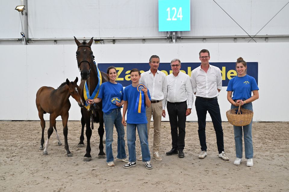 Egroni Z (Energy Guy x Indoctro) Egroni Z (Energy Guy x Indoctro)