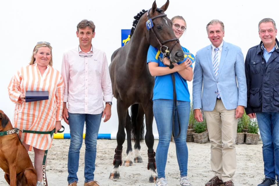 361333541_660982316060247_7039779440154141268_n 361333541_660982316060247_7039779440154141268_n