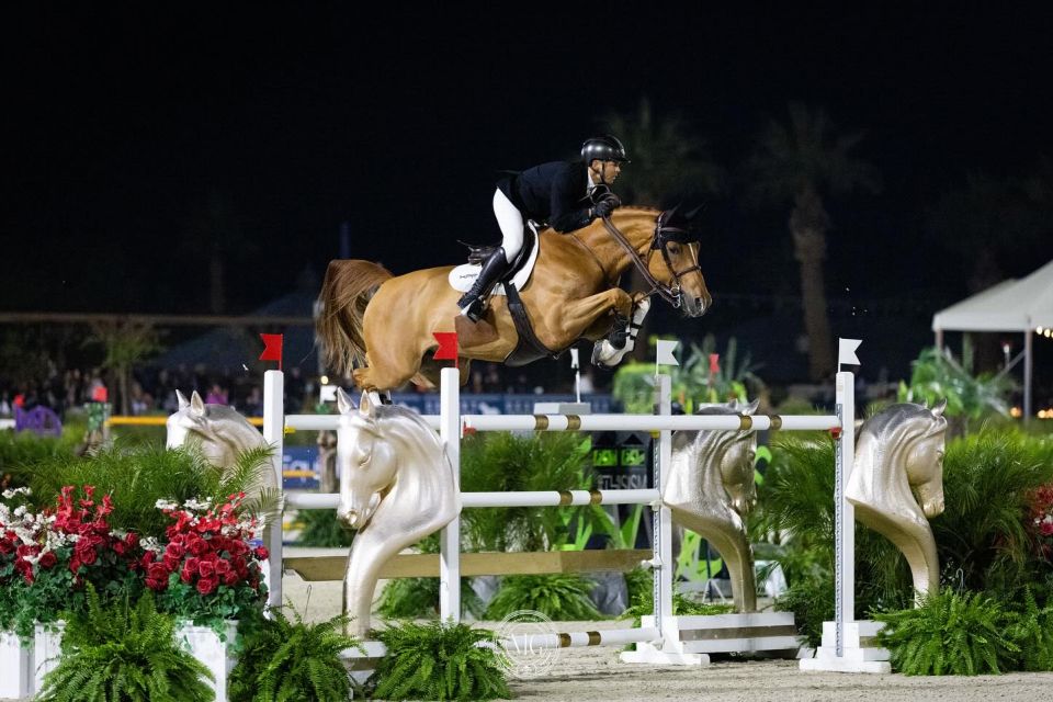 Landon - Kent Farrington - ©DIHP (1) Landon - Kent Farrington - ©DIHP (1)