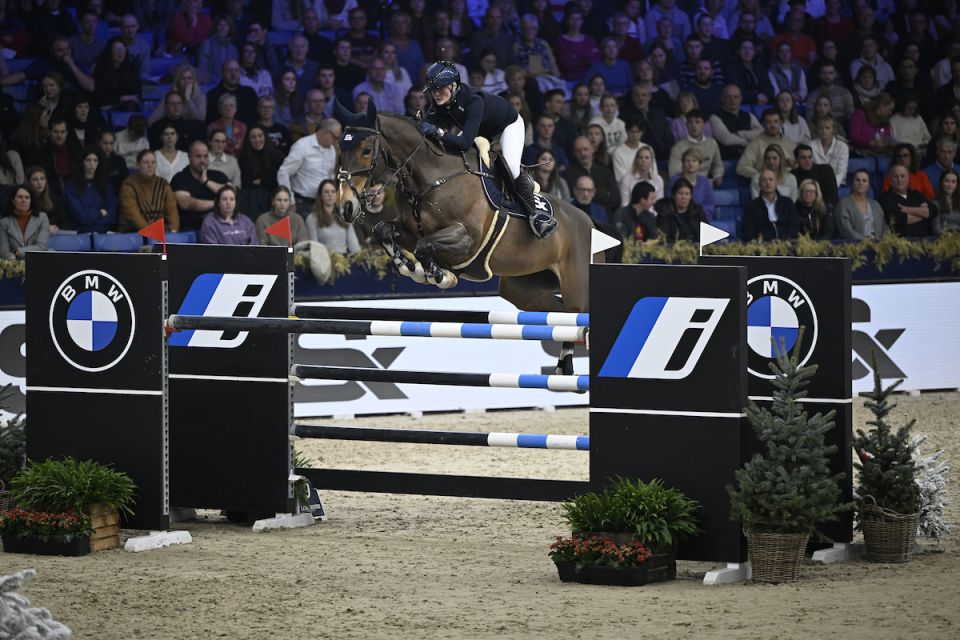 Cassina Z - Petronella Andersson - ©Paardenfotograaf Cassina Z - Petronella Andersson - ©Paardenfotograaf