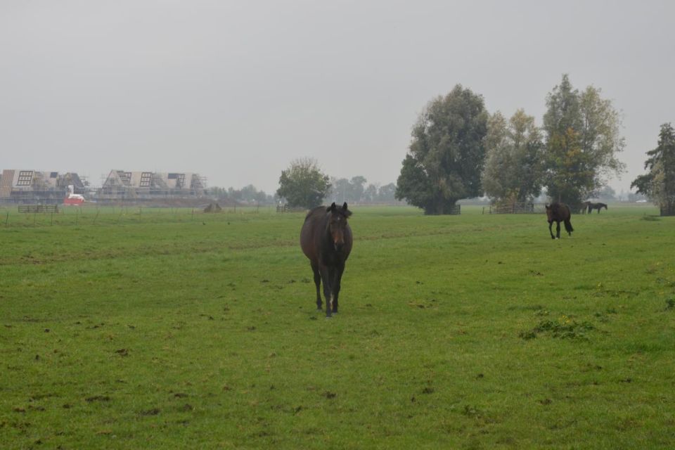 nieuws-dsc5207 nieuws-dsc5207