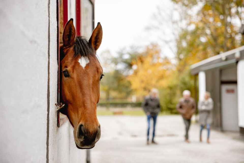 nieuws-zangersheiderondetafel2022-51-middel nieuws-zangersheiderondetafel2022-51-middel