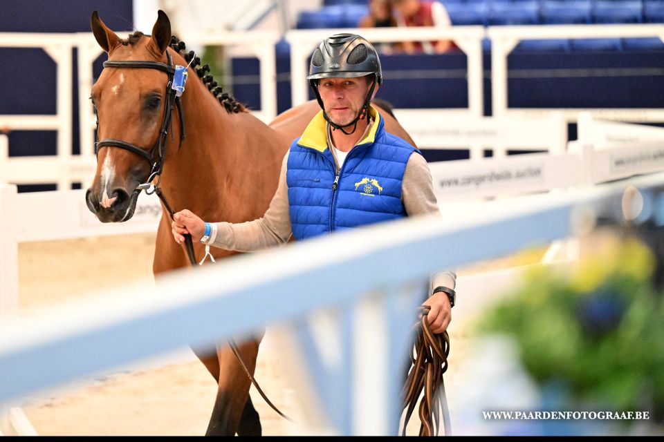 stallion-DSC_1387 stallion-DSC_1387